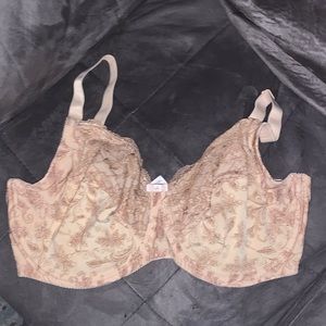 Elegant Lace Women's Bra in Cream and Tan